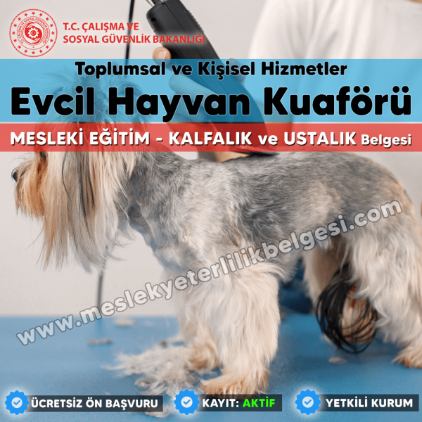 Evcil Hayvan Kuaförü için Mesleki Eğitim Kalfalık ve Ustalık Belgesi