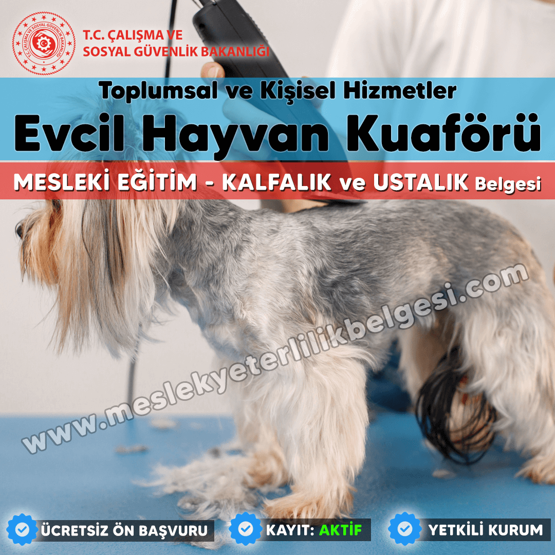 Evcil Hayvan Kuaförü